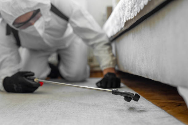 Professional Pest Control technician working in Tequesta, FL