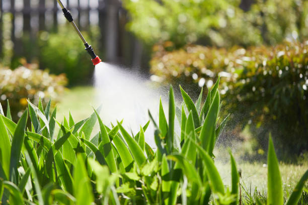 24/7 Emergency Pest Control experts in Tequesta, FL